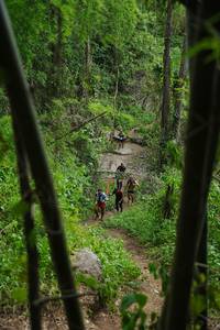 BIB: 
                            <button type="button" onclick="openModal(22242007)" class="btn btn-primary btn-sm float-right btn-popup" data-toggle="modal" data-target=".modal-high-quality">
                        <i class="fas fa-shopping-cart"></i> Add to Cart
                    </button>
                                            <button type="button" onclick="isThisMe(22242007, true)" class="btn btn-success btn-sm float-right btn-popup btn-isme hidden" data-toggle="tooltip" data-placement="bottom" title="นี่คือรูปของคุณใช่ไหม คลิกที่นี่เพื่อเอาเข้าอัลบั้ม">
                        <i class="fas fa-plus"></i> Add to album
                    </button>
                    <button type="button" onclick="isThisMe(22242007, false)" class="btn btn-warning btn-sm float-right btn-popup btn-isnotme hidden">
                        <i class="fas fa-ban"></i> Remove from album
                    </button>